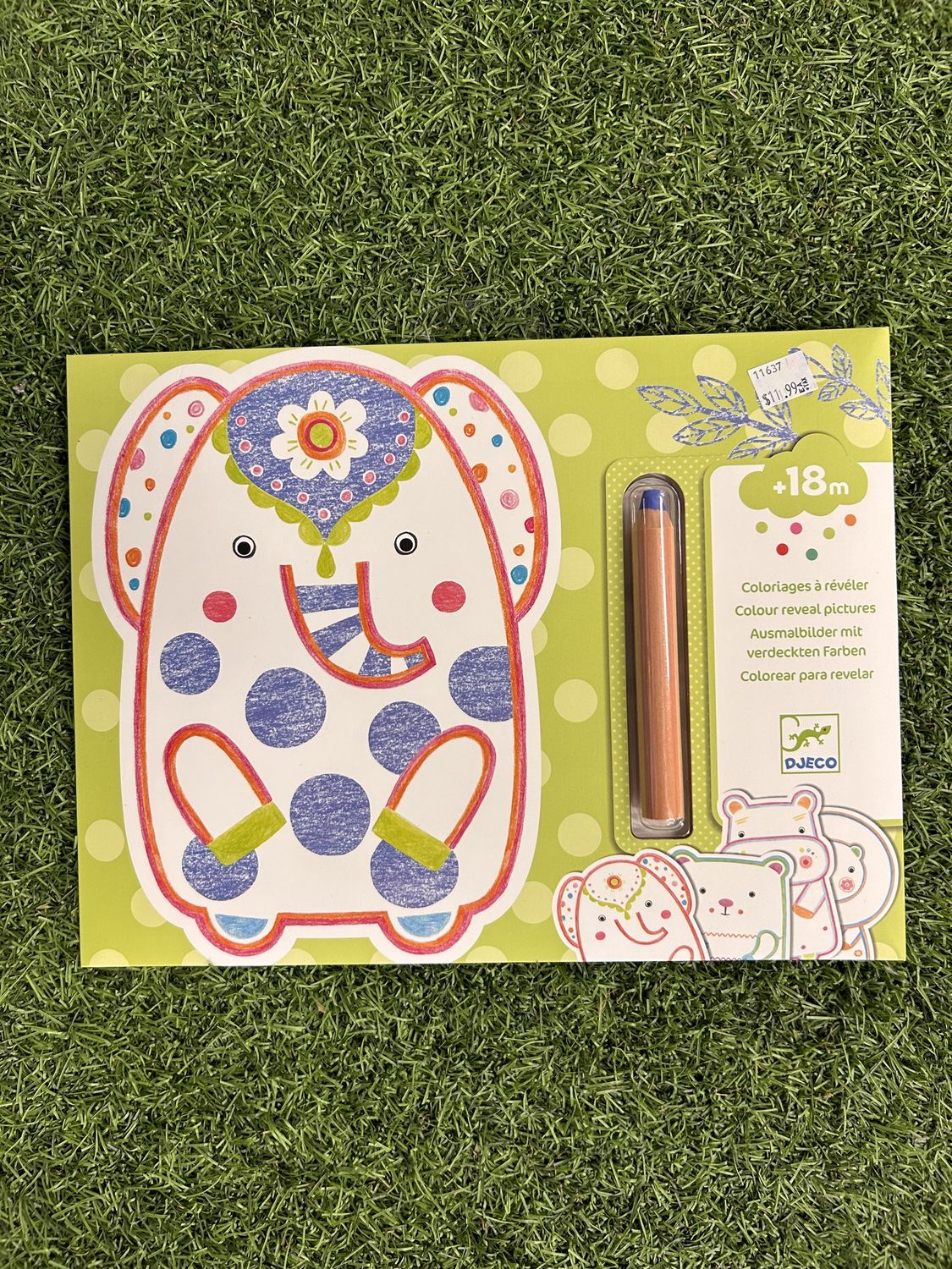 Wild Coloring Animals
