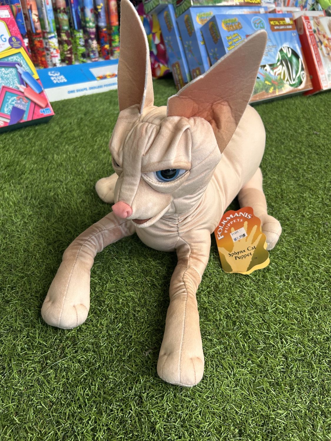 SPHYNX CAT