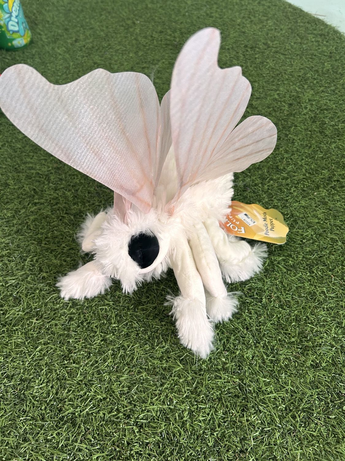 POODLE MOTH