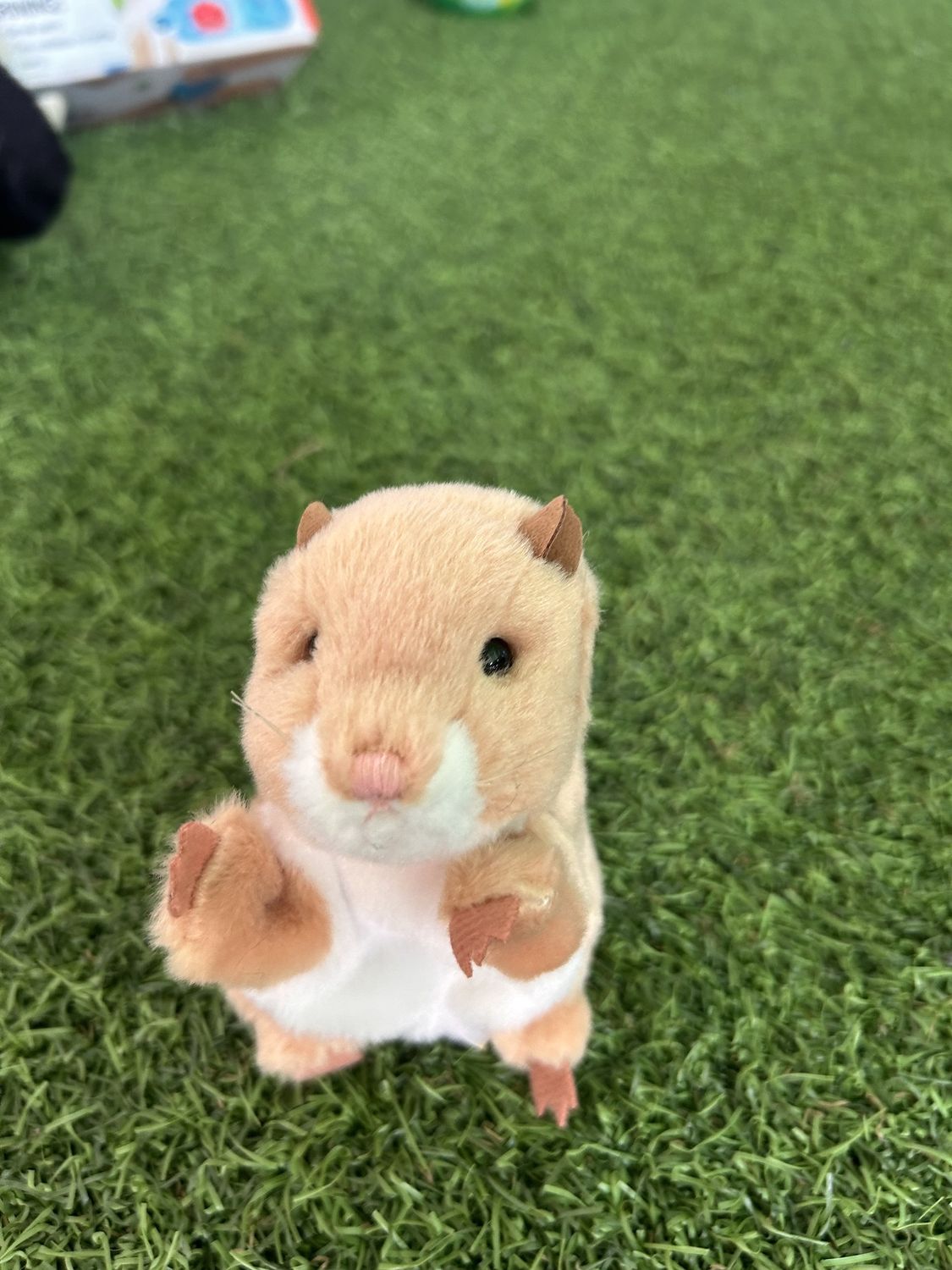 MINI HAMSTER
