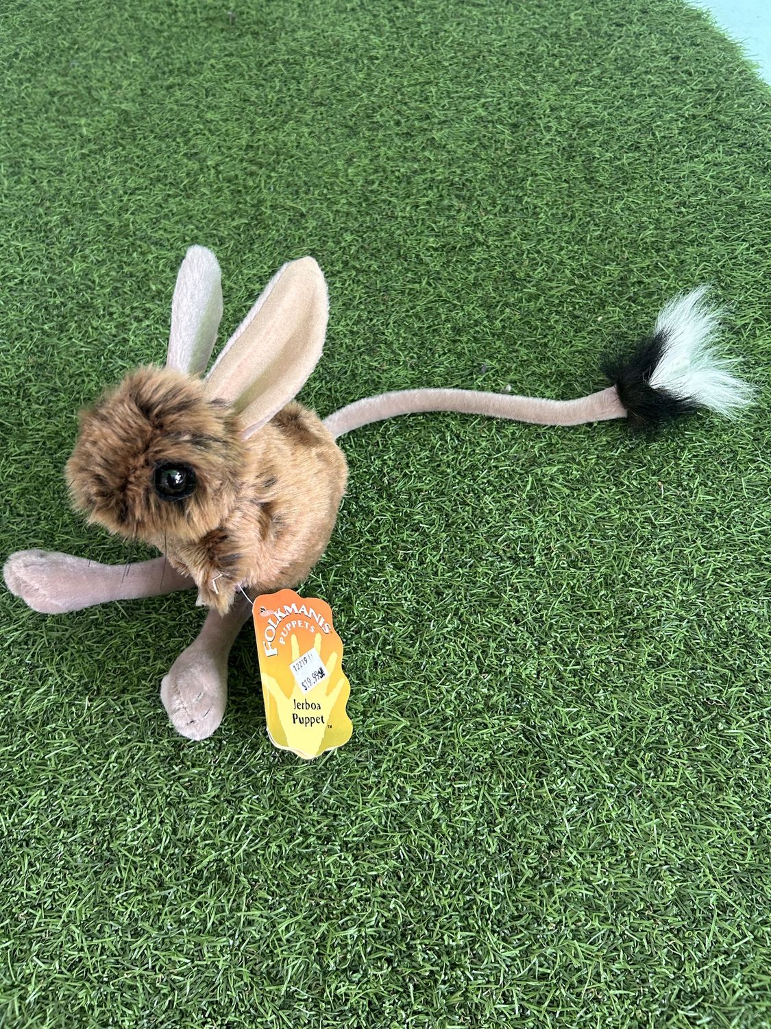 JERBOA