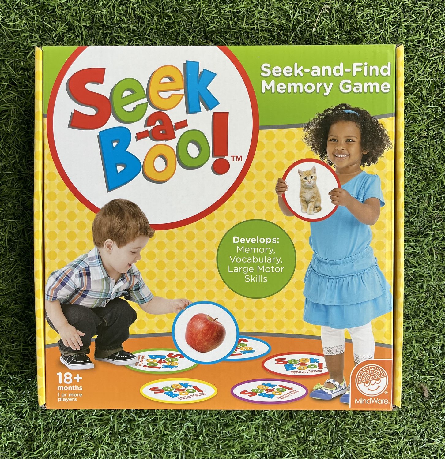 SEEK A BOO!: SEEK-AND-FIND MEMORY GAME