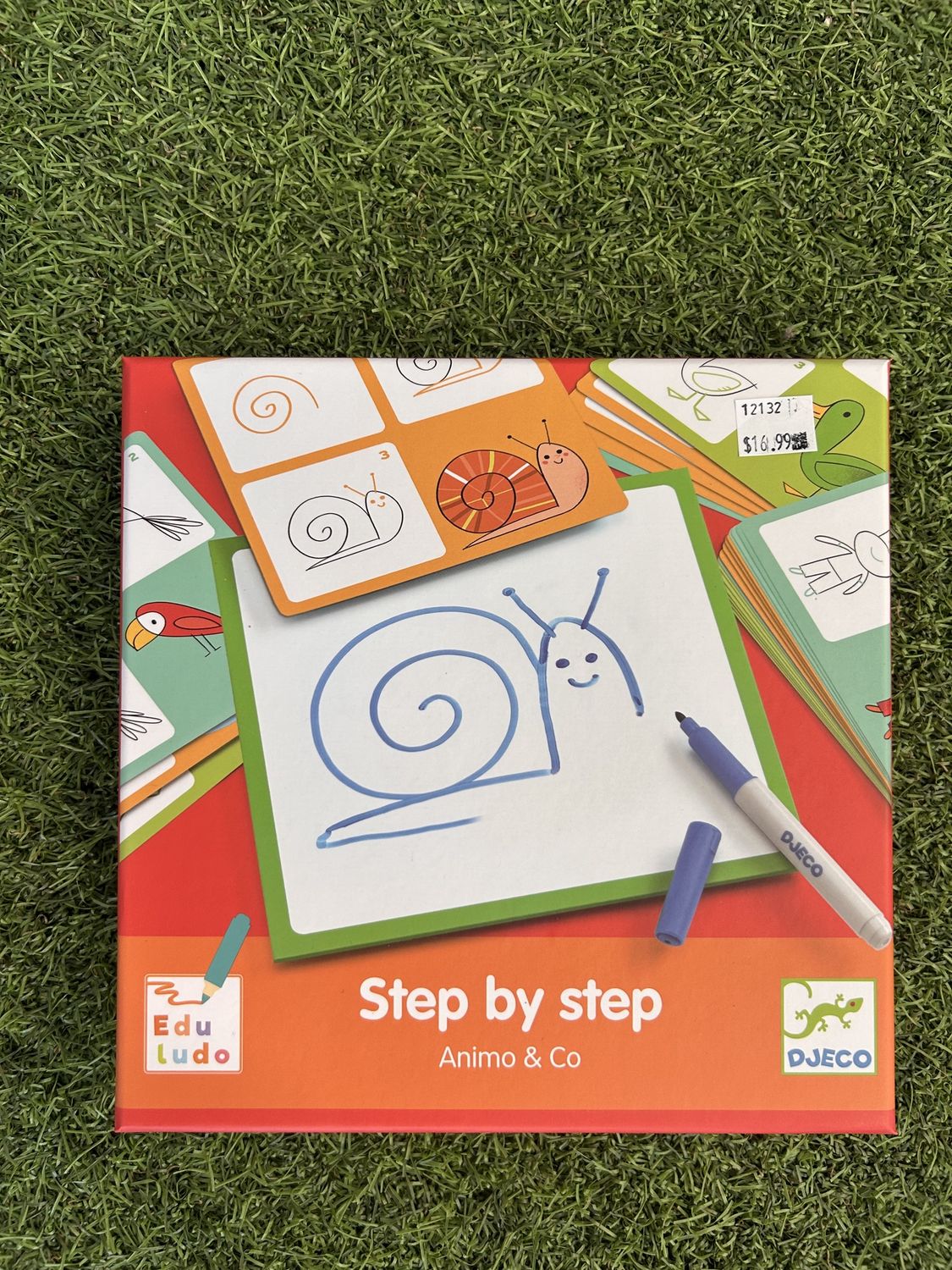 Step by Step, Name: Animo and Co