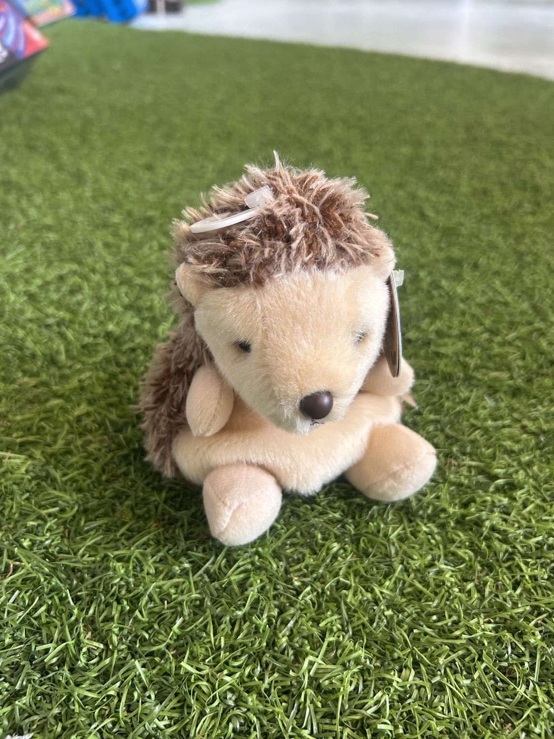 5&quot; HEDGIE HEDGEHOG