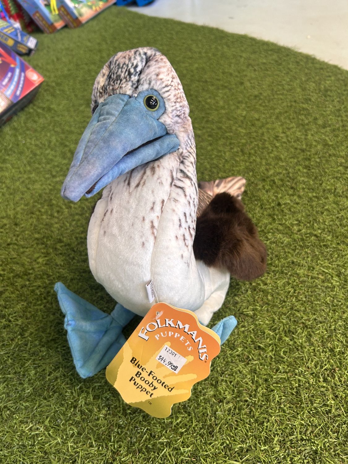 BLUE- FOOTED BOOBY