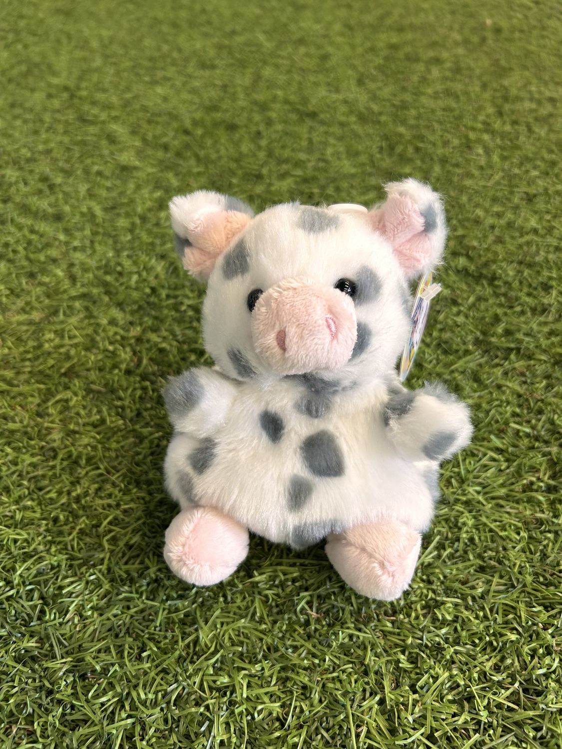 5&quot; PIGGLES SPOTTED PIGLET