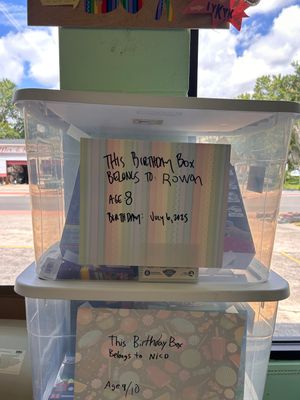 Rowan’s Birthday Box (Age 8, 7/6)