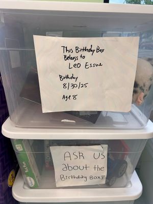 Leo&#39;s Birthday Box (August 30th, Age: 8)