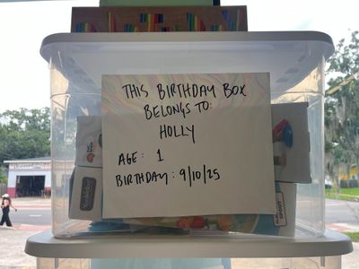 Holly&#39;s Birthday Box (Age 1, September 10th)