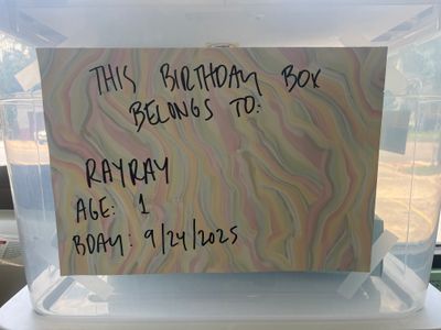 Ray Ray’s Birthday Box (Age 1, September 24th)