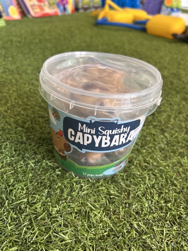Mini Squishy Capybara Tub