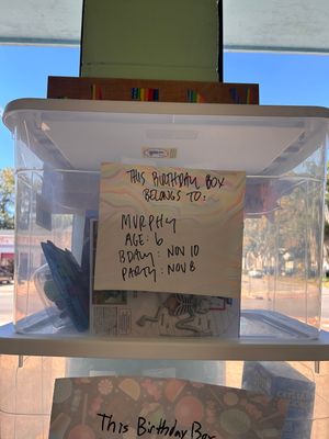 Murphy&#39;s Birthday Box (Age 6, Nov 10th)