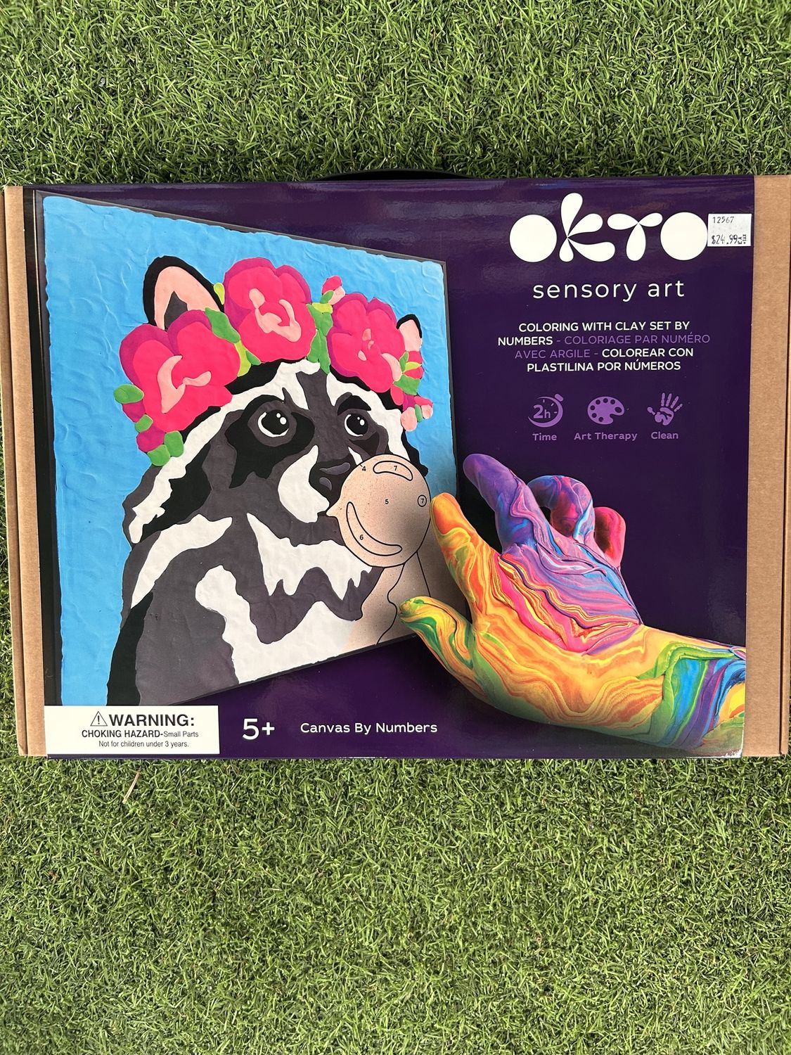 OKTO Clay-by-Numbers Kit – “Raccoon”