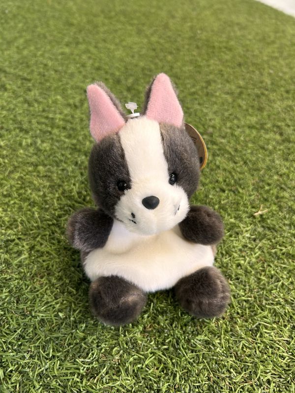 5&quot; BEAU FRENCH BULLDOG