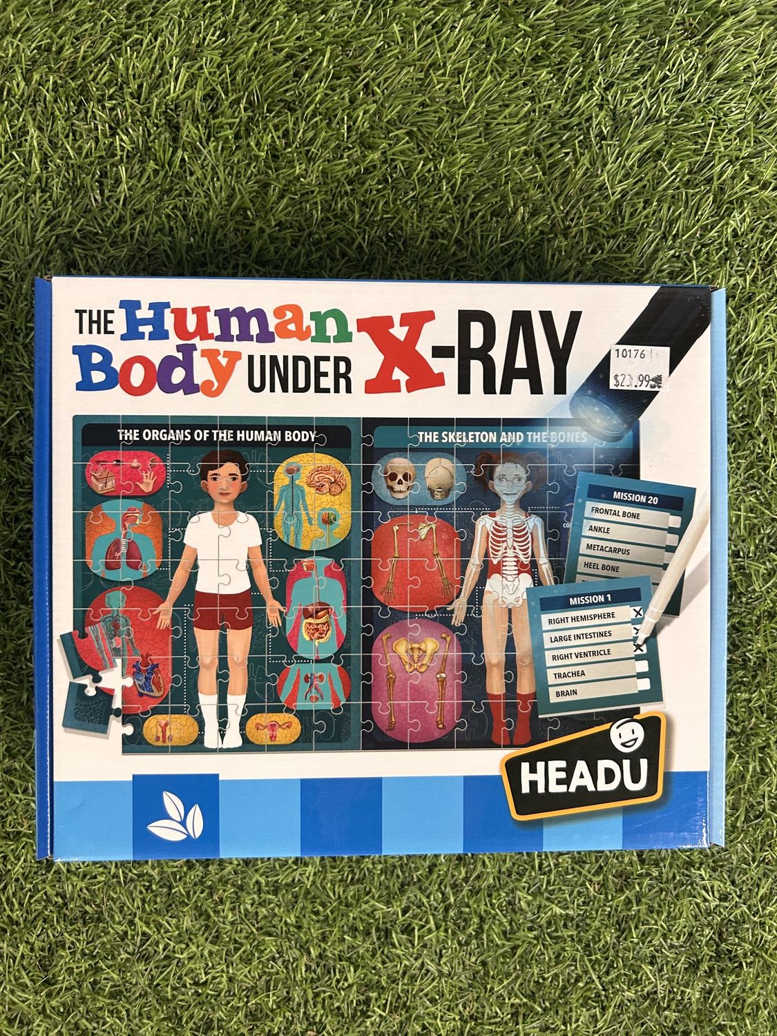 TIA Toy Drive- The Human Body under X-Ray