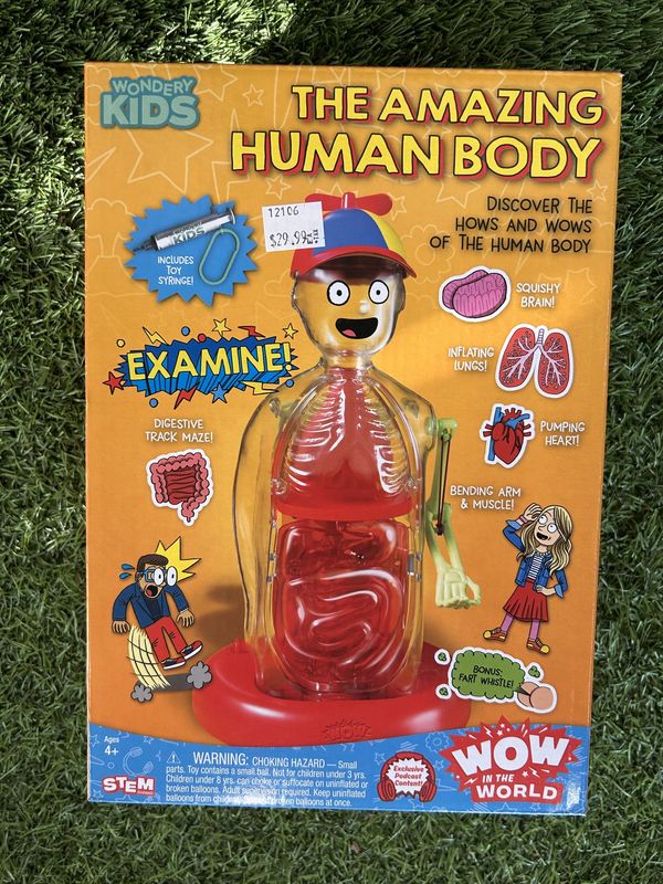 Memorial Children's- The Amazing Human Body