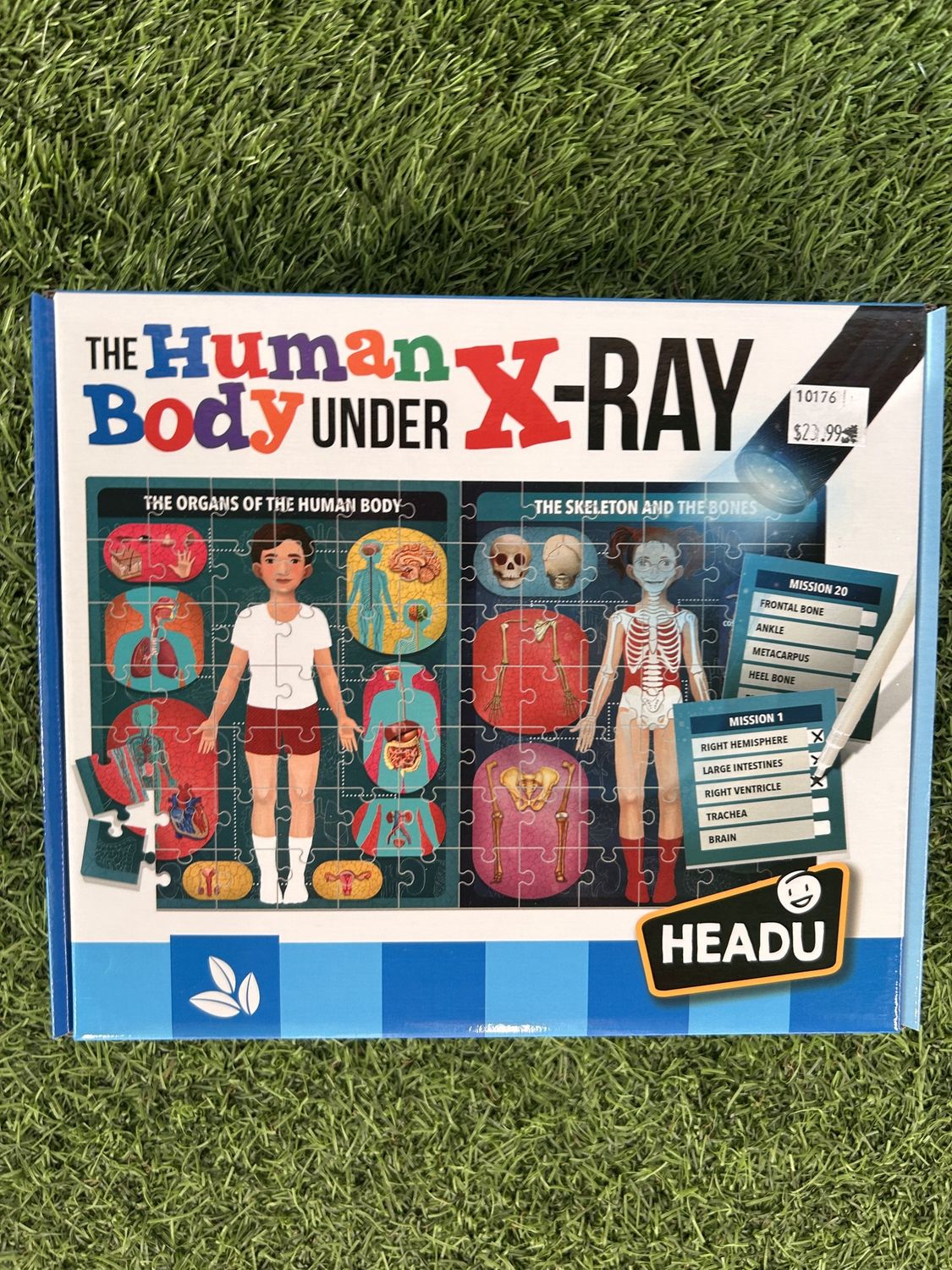 Memorial Children&#39;s- The Human Body under X-Ray