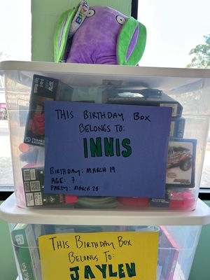 Innis' Birthday Box (Age 7, Birthday 3/19, Party 3/28)