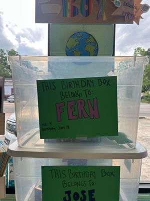 Fern's Birthday Box (Age 9, June 18th)