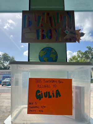 Giulia's Birthday Box (Age 5, Party 8/29, Birthday 8/30)