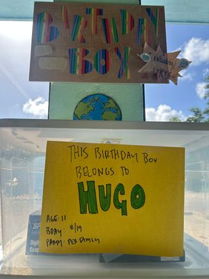 Hugo's Birthday Box (Age 11, Birthday 8/19)