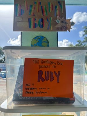Ruby's Birthday Box (Age 9, Birthday 8/30)