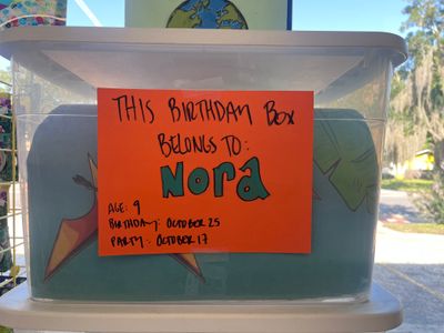 Nora's Birthday Box (Age 9, Birthday 10/25, Party 10/17)