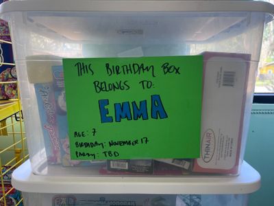 Emma's Birthday Box (Age 7, Birthday 11/17)