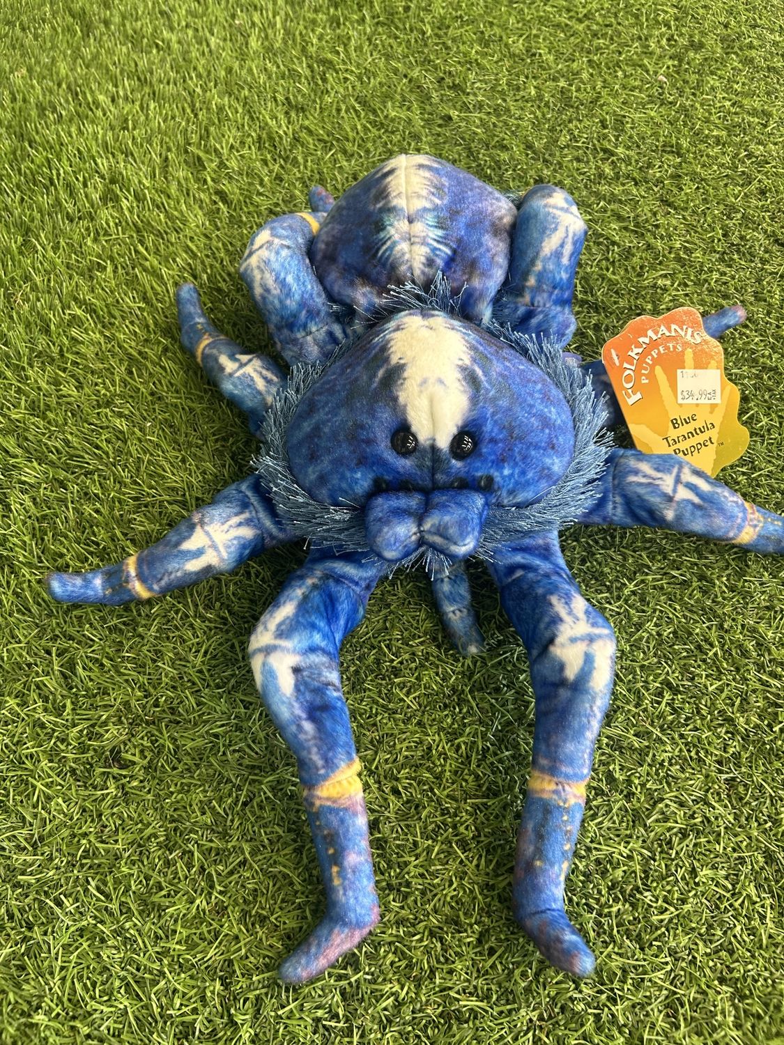 BLUE TARANTULA