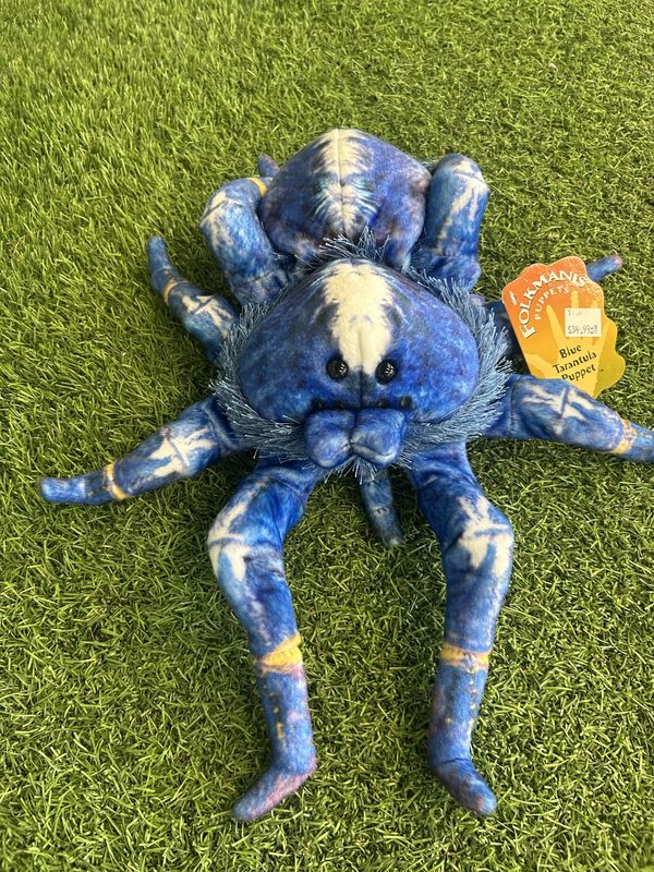 BLUE TARANTULA