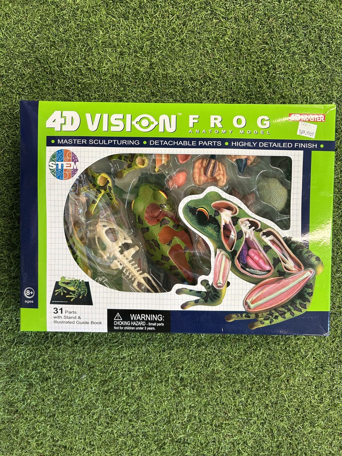 4D FROG ANATOMY