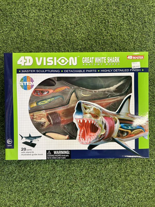 4D Vision Great White Shark Anatomy