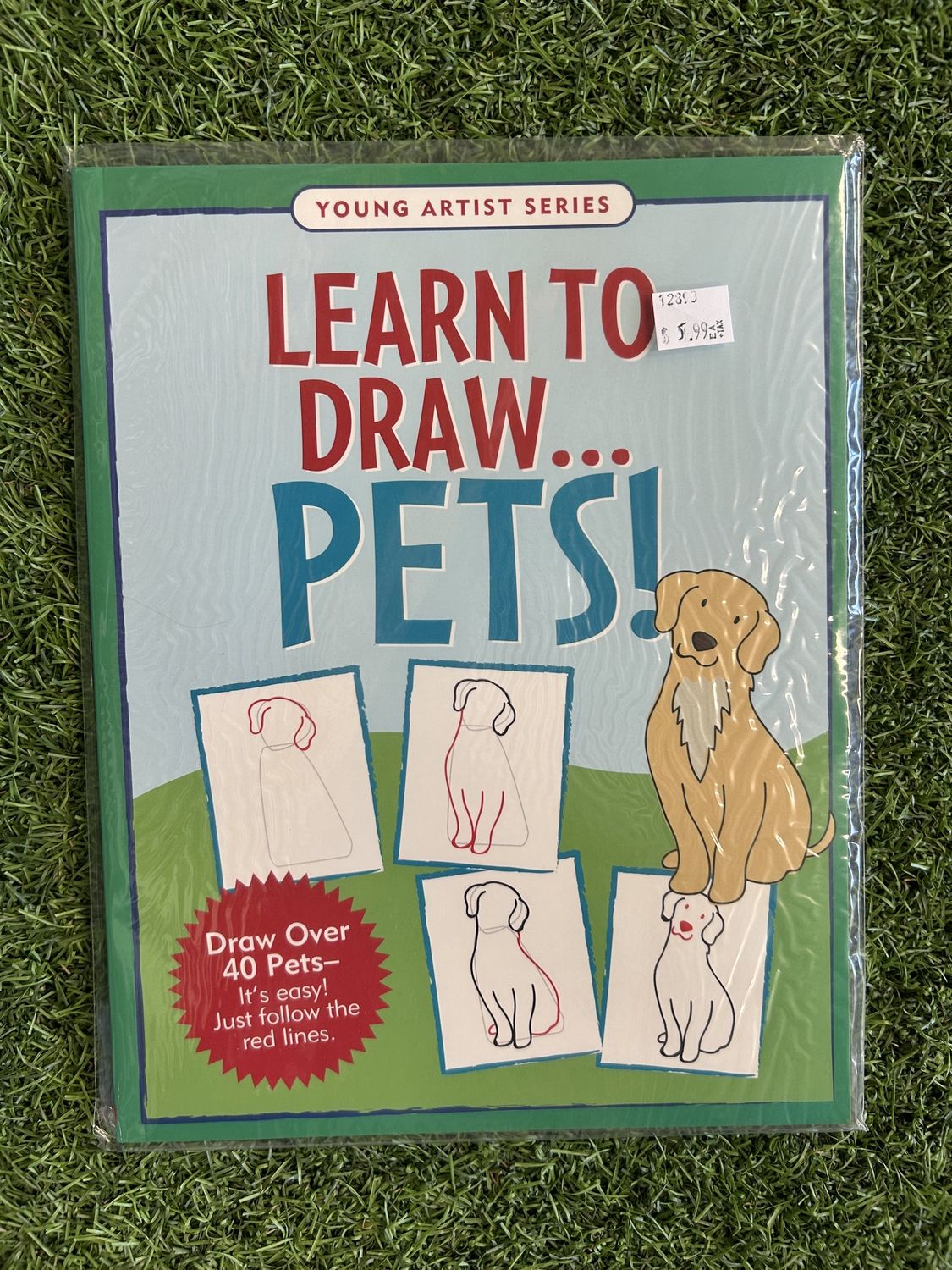 Learn to Draw . . . Pets!
