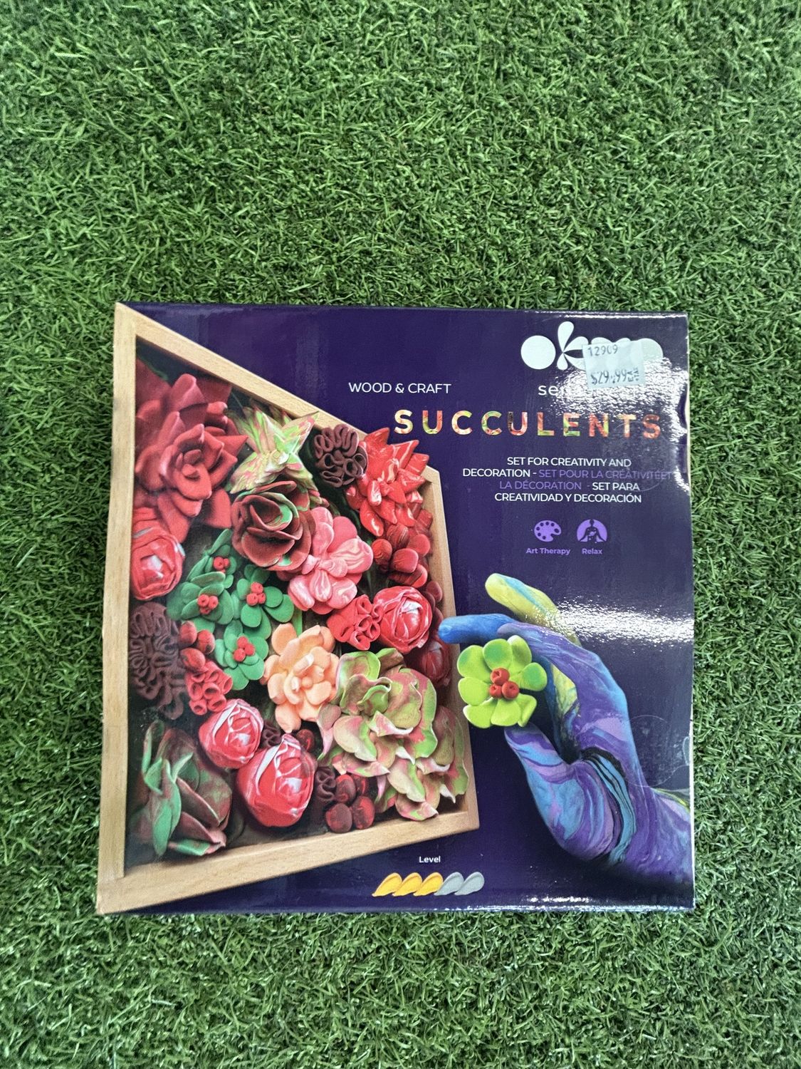 OKTO Sensory Art 3D Woodcraft “Passion” – Succulen
