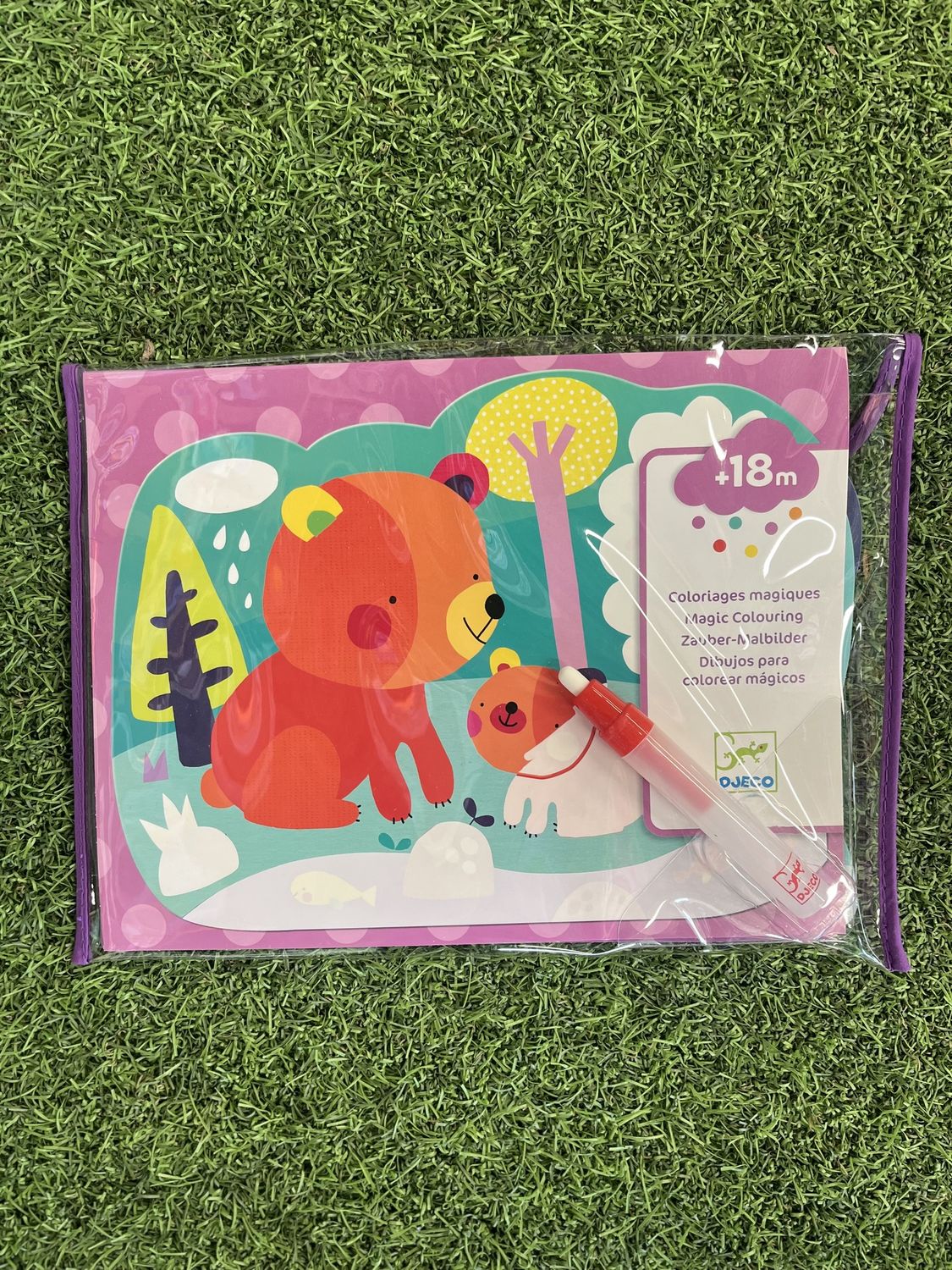 Paint w/ Water Hidden Woods