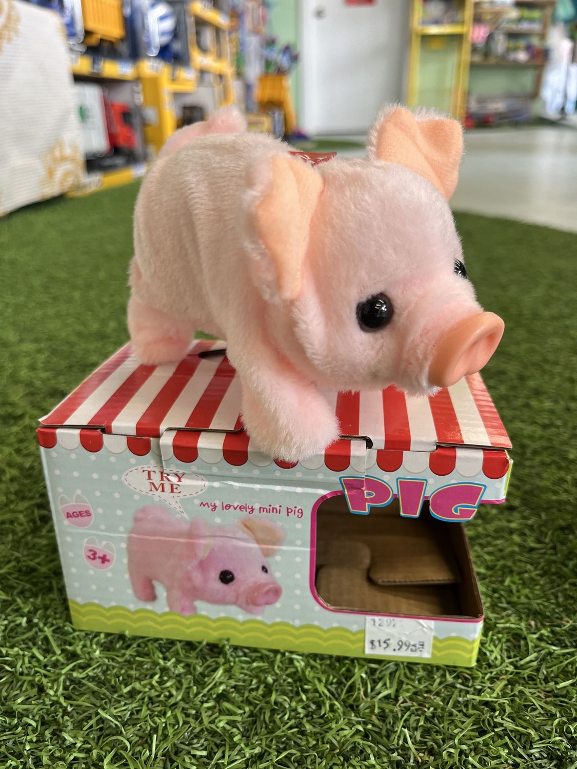Walking Pig w/Sound Carry Case