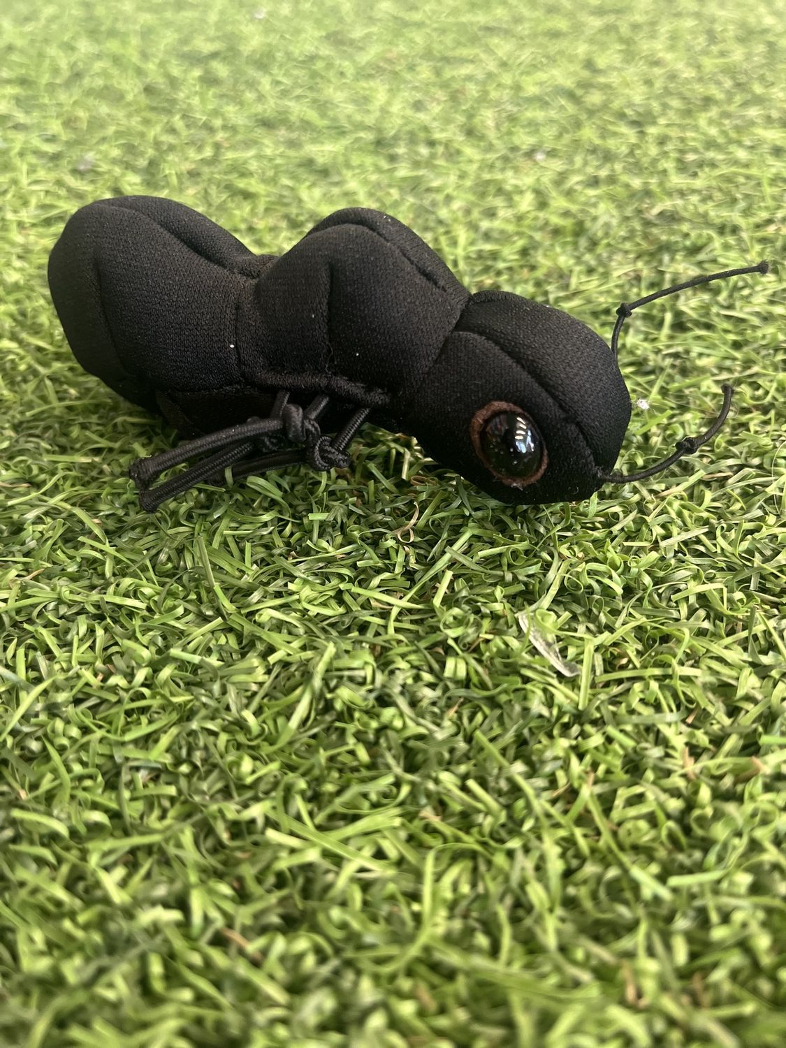Mini Ant