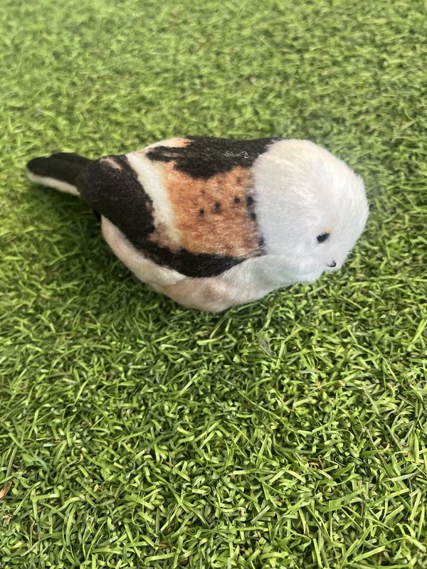 Mini Long Tailed Tit