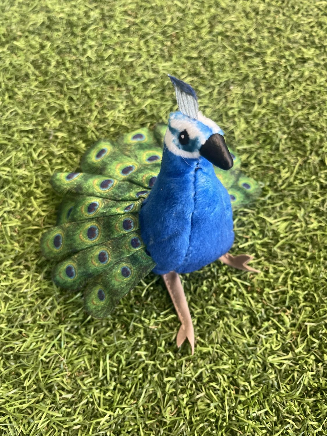 Mini Peacock