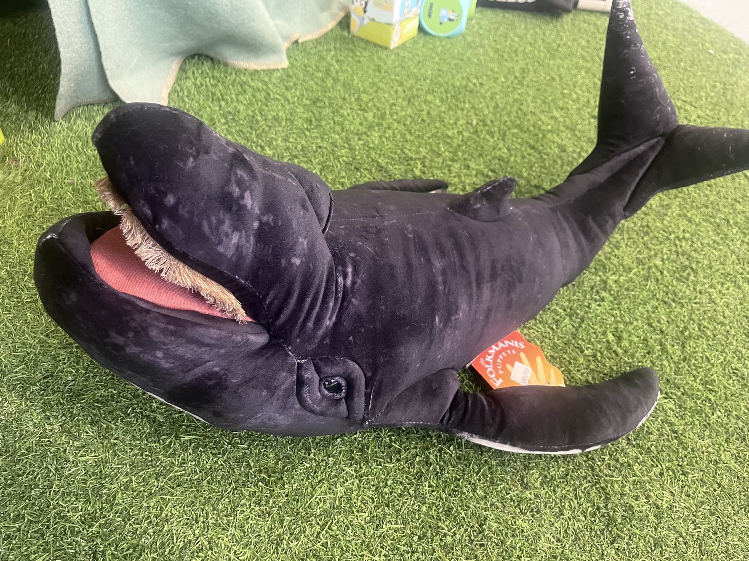 Hump Back Whale
