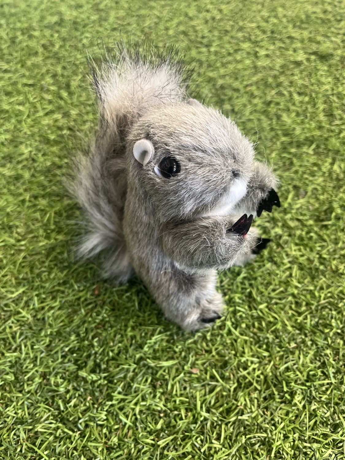 Mini Gray Squirrel
