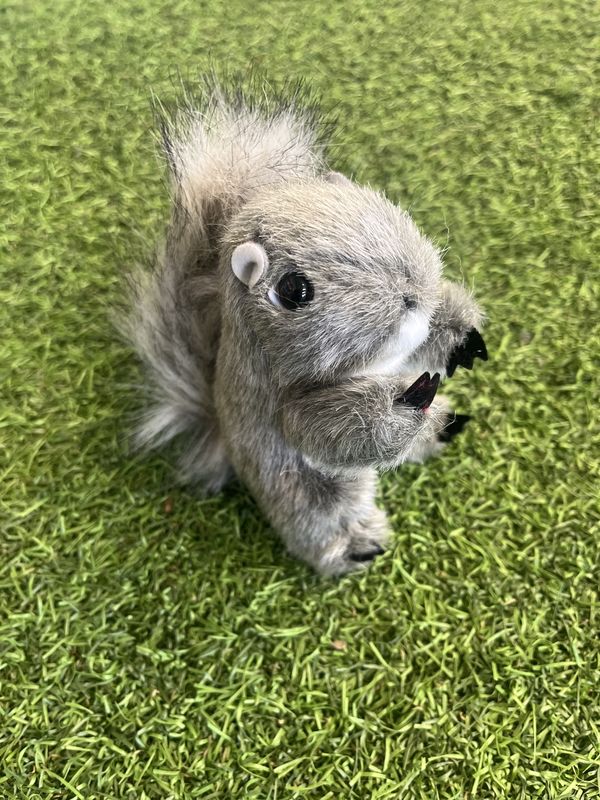Mini Gray Squirrel