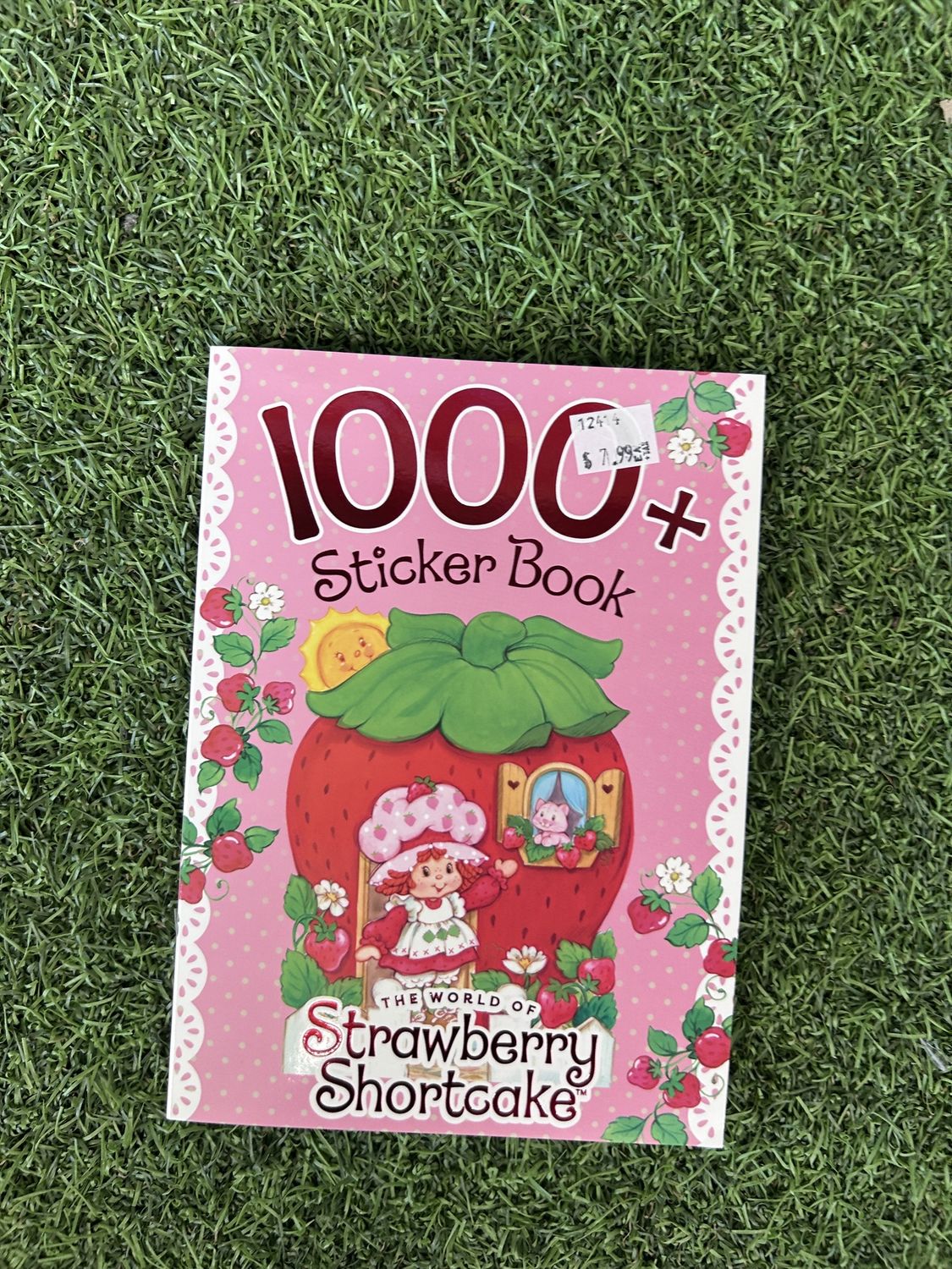 Strawberry Shortcake™ Sticker Book (Veira's Birthday Box)