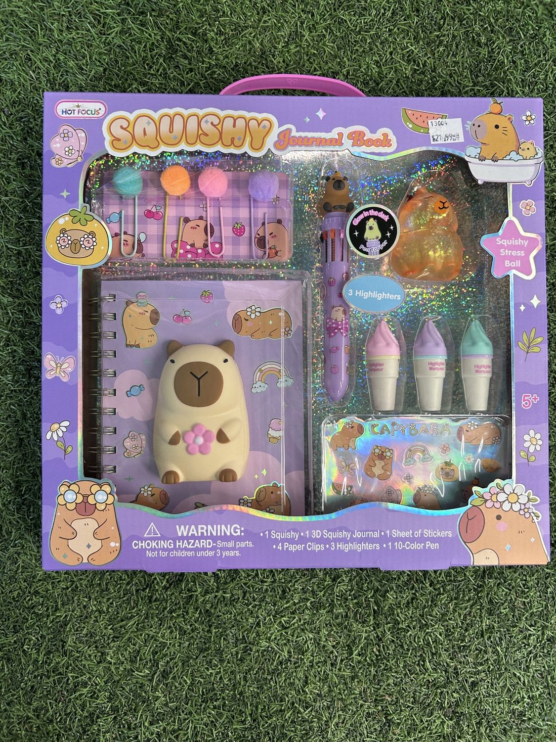 Squishy Journal Book, Capybara (Veira's Birthday Box)