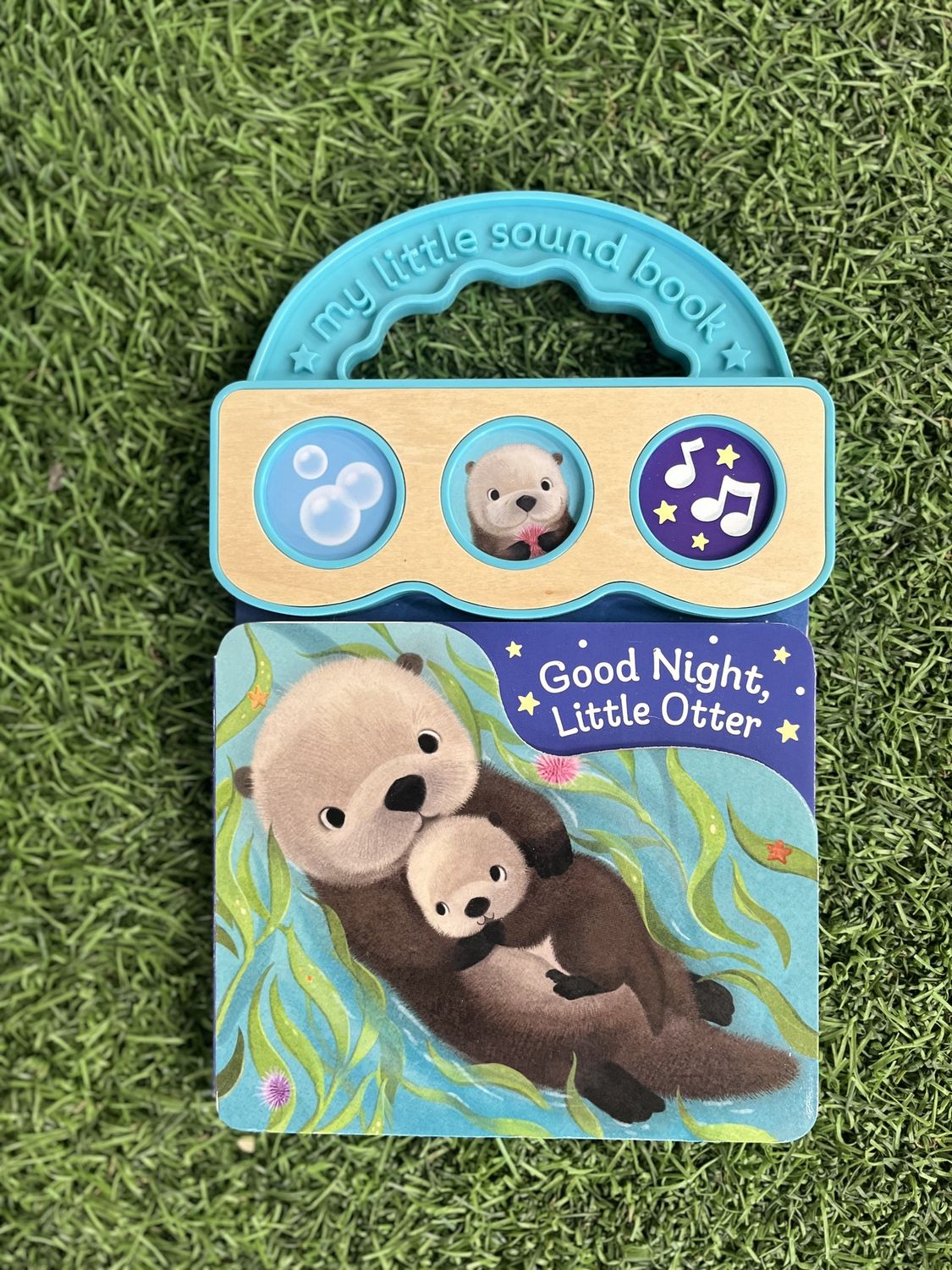 Good Night, Little Otter