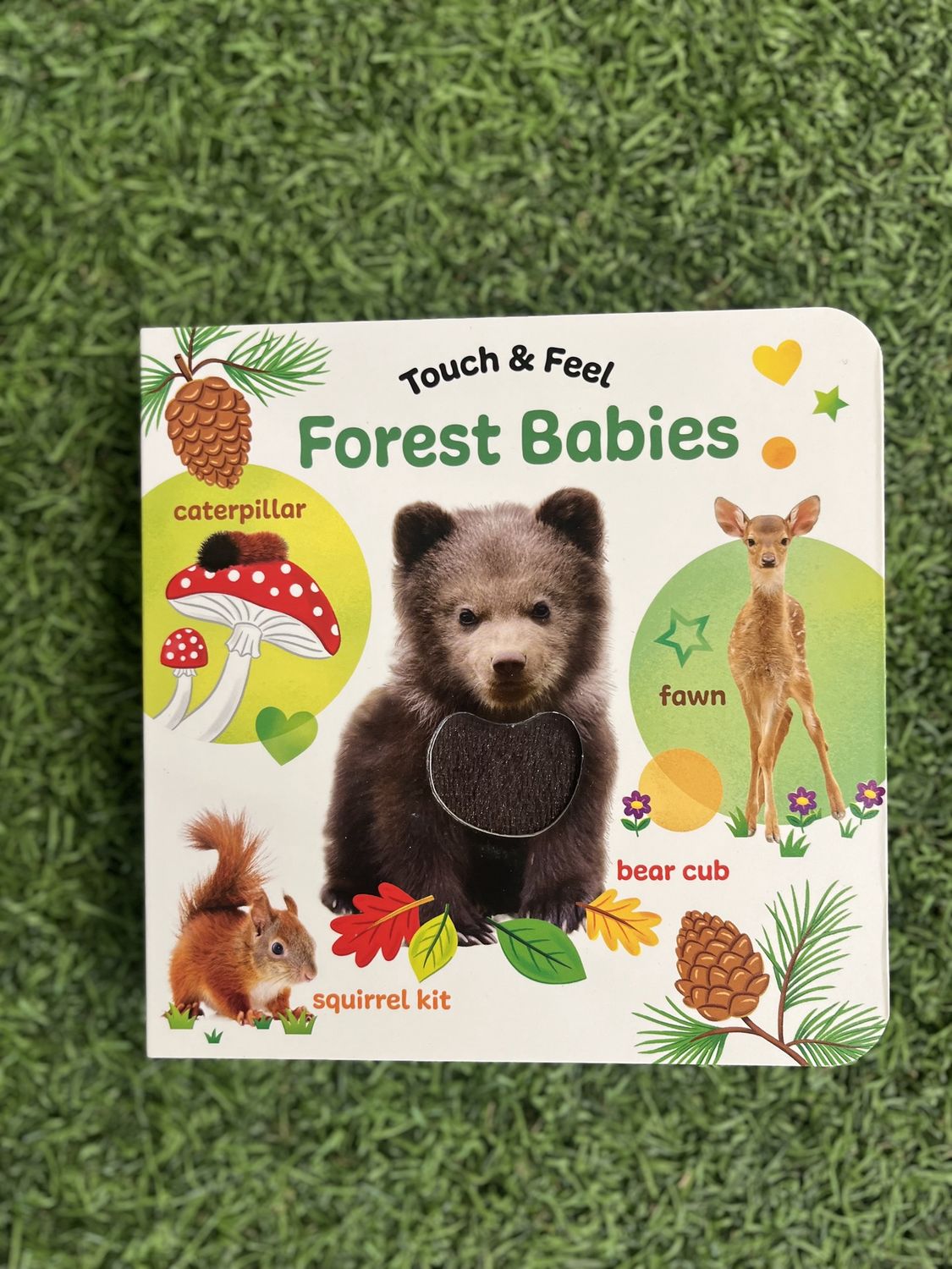 Touch &amp; Feel Forest Babies