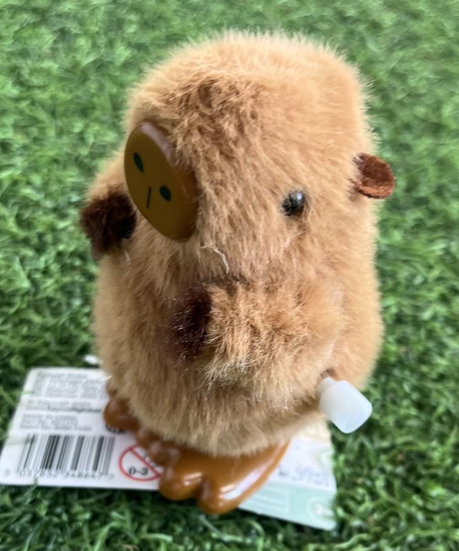 Wind-Up Capybara