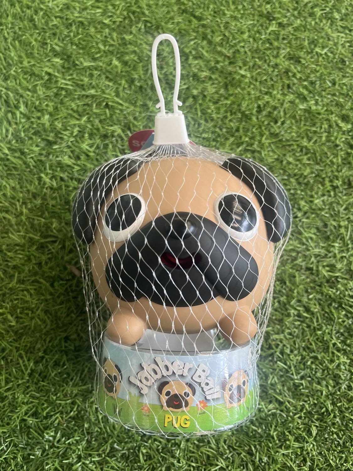Jabber Ball - Pug Dog