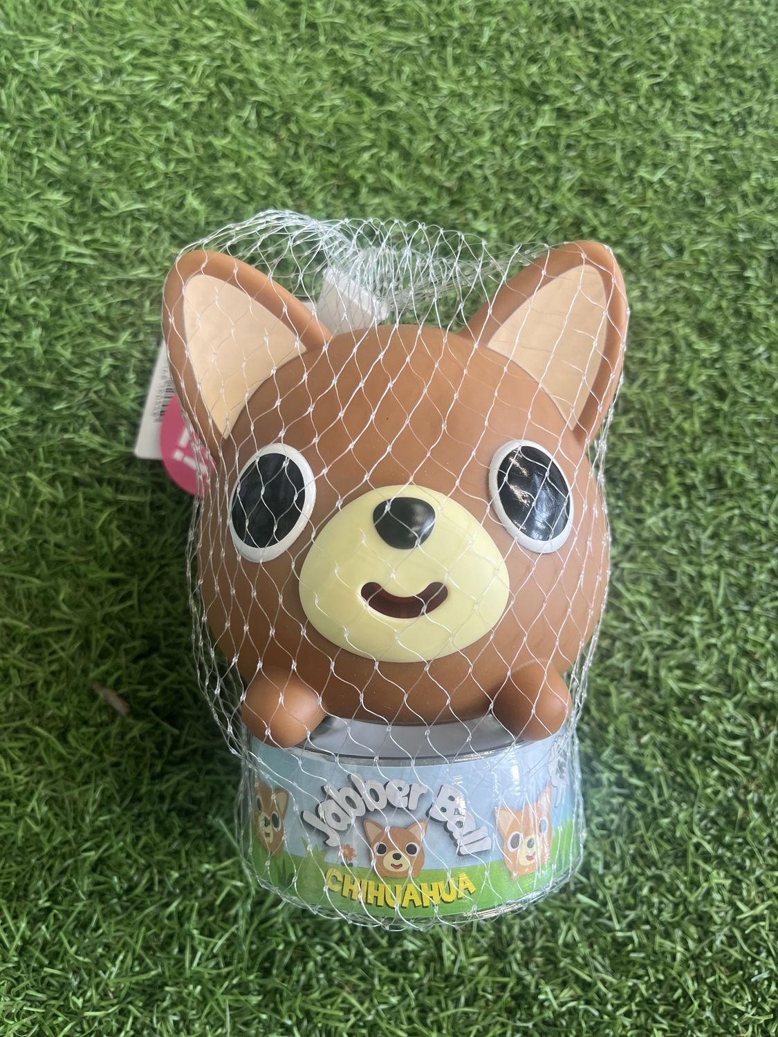 Jabber Ball - Chihuahua Dog