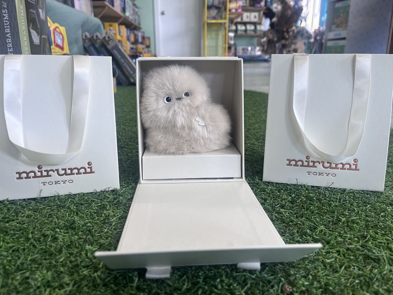 Mirumi Ivory